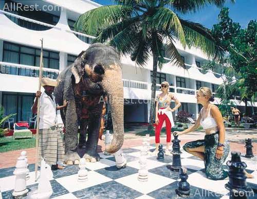 Club Palm Garden 6